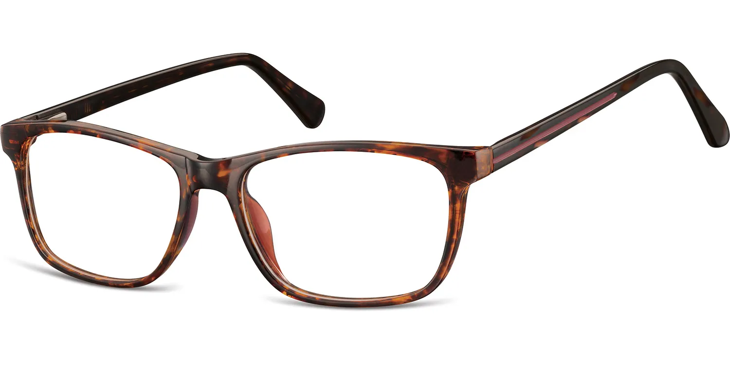 Ethan prescription glasses in turtle/red