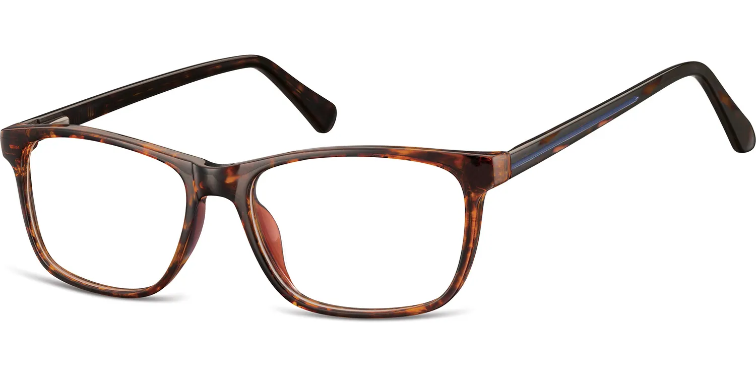 Ethan prescription glasses in turtle/blue