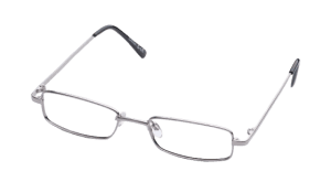 Taylor silver frame